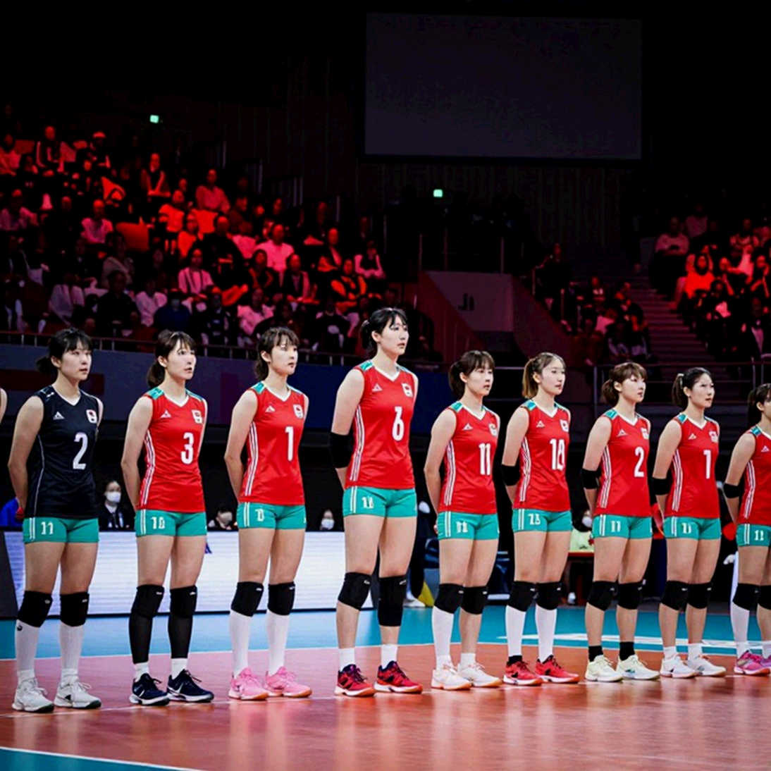Vietnam Women's Volleyball and the Gap Named First Tempo Vietnam Women's Volleyball and the Gap Named First Tempo